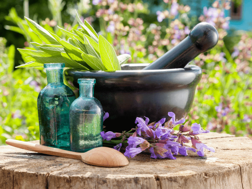 Hierbas para baños curativos para la osteocondrosis.